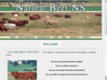 naturalbeefns.com