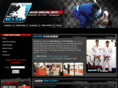 nextlevel-mma.com