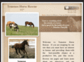 temenoshorserescue.org