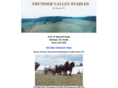 thundervalleystables.net