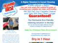 carpetcleaninggastoncounty.com