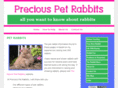 pet-rabbit-care-information.com