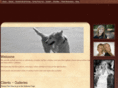 rubyphotovideo.com