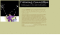 training-connection.com