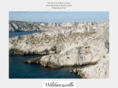 wildmarseille.com