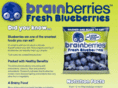 brainberries.com