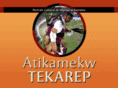 tekarep.org