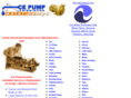 acepump.com