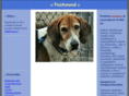 foxhound.cz