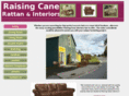 raisingcanerattaninteriors.com