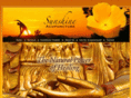 sunshineacupuncture.com
