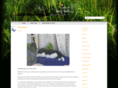 suzysays.net
