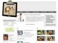 adobeanimalhospital.org