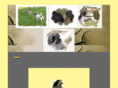 dogs-coaching.com