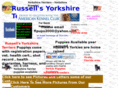 russellsyorkies.com