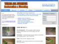 texasallsurface.com