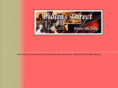 violinsdirect.com