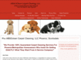 absocleancarpetcleaning.com