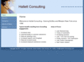hallett-consulting.com
