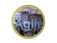 nuovaglie.org