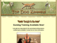 tdkpointinglabs.com