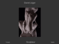 david-leger.com