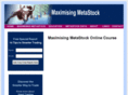 maximizingmetastock.com