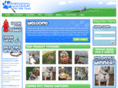 pawzoom.com