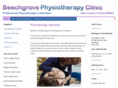 physiotherapyaberdeen.com