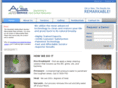 ayshardsurfacerestoration.com
