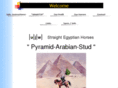 pyramid-egyptians.com