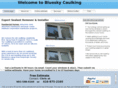 blueskycaulking.com