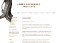 jameskavanaughinstitute.org
