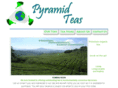 pyramidteas.com