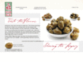 sicilianvillage.com