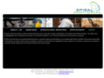 spiraljanitorial.com