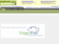 thetriggerfish.com