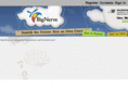 bignervedemo.com