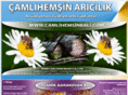 camlihemsinaricilik.com