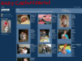 codaris.com