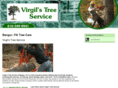 virgilstreeservicepa.com