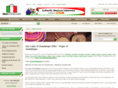 virgin-of-guadalupe.com