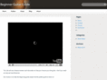 beginnerguitarguide.com