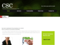 corporateservicesconsult.com