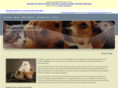 dogwalkpro.com