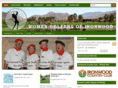 ironwoodwgi.com