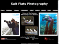 saltflatsgallery.com