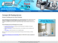 stlouiscountyplumber.com