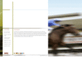 derrinstown.com