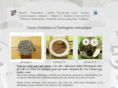 initiation-horlogerie.com